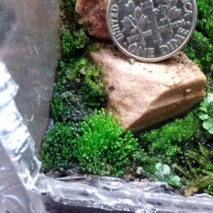 size comparison