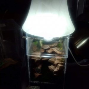 Imade a custom light fixture with 13W CF 6500K bulb