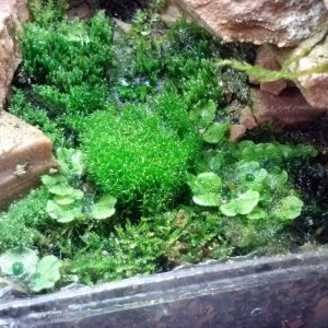 20 days of growth