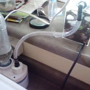 Humidifier tube