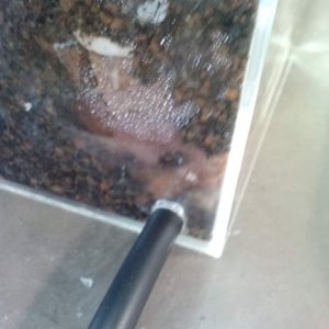 Drain