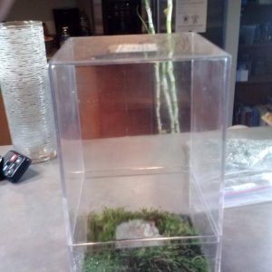 tank size