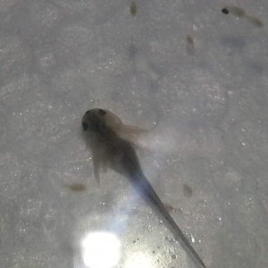 20130323 183258