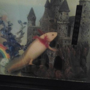 He's guarding his castle :3
