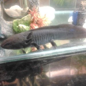 20130406 200501