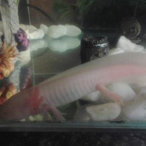 20130407 001524