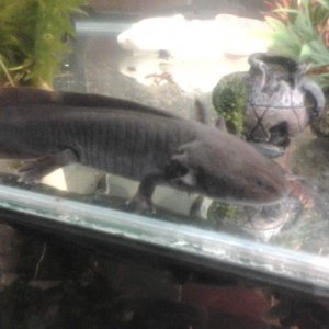 20130406 200815