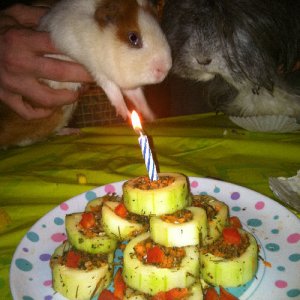 Dale's Birthday Party