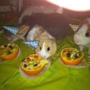 Dales Birthday Party