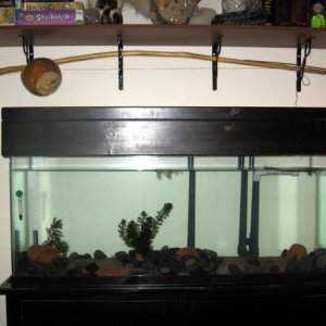 55 Gallon