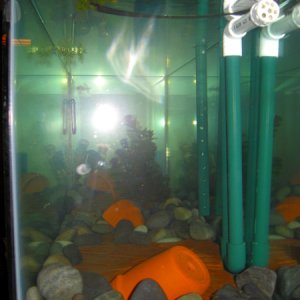 Side view with Tank Drain