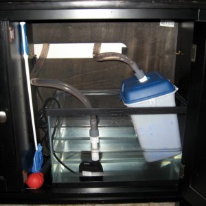 Homemade Wet/Dry Filter & Pond Pump