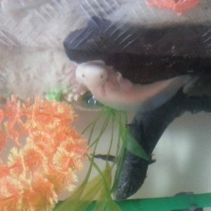 IMG 20130414 120401