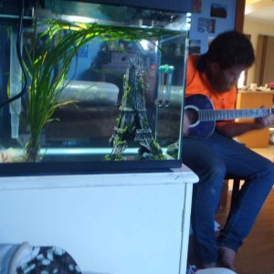 my brother playing a song for Amigo