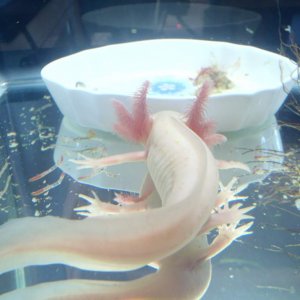 look at my tail