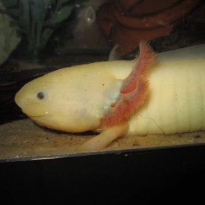 IMG 0476[1]