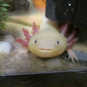 IMG 0496[1]