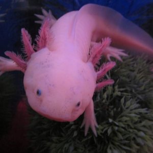 IMG 0725[1]