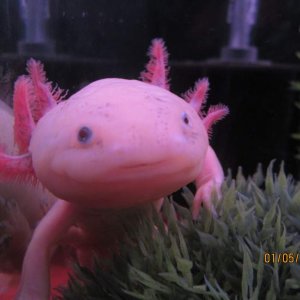 IMG 1220[1]