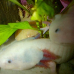 IMG 20121113 00786