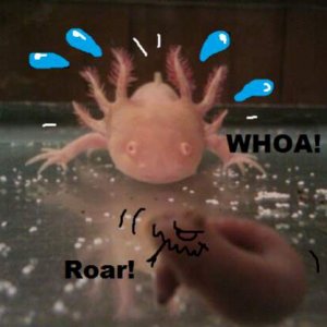 Killer worm
Picture is not mine, just edited it.