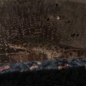 IMAG0655
