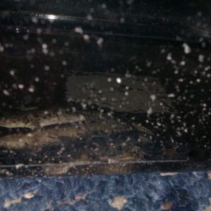 IMAG0649
