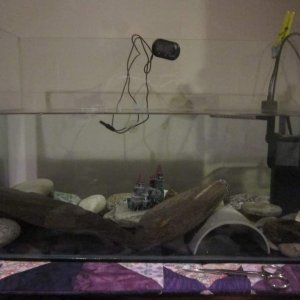 Mudkip's first tank