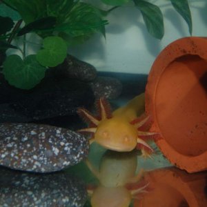 Posing as usual
