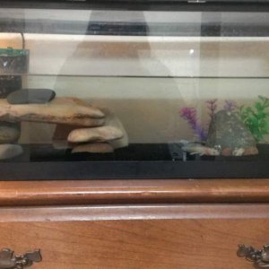 This is my set up for Mixi. I made the hide myself, I'm very proud of it :)