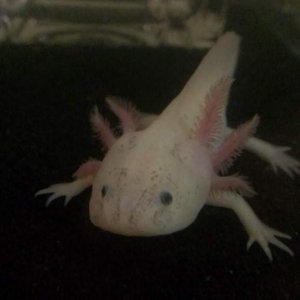 Spotted little face :)