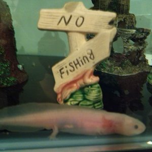 Taking refuge beside the no fishing sign xD