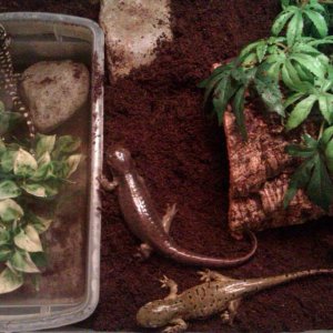 The day I brought Gerald home to join the crew.
