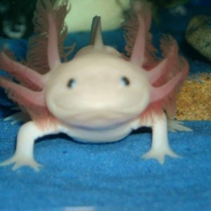 DSCN3223