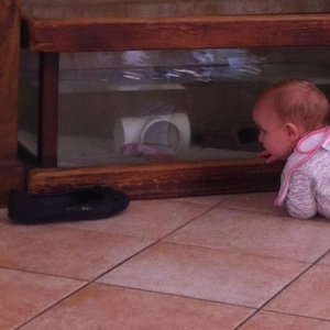 My daughter watching my little boy axie ludo.