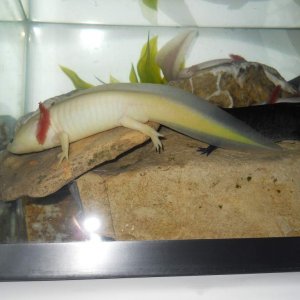 DSCN2368