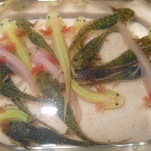 DSCN2718