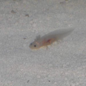 IMAG0327