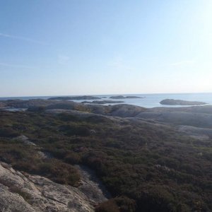 Coast view

Newt habitat.