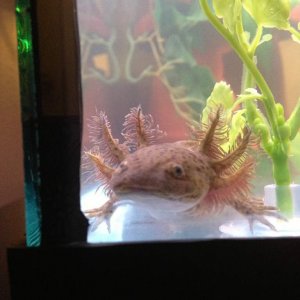 All smiles after the first worm in the new home!