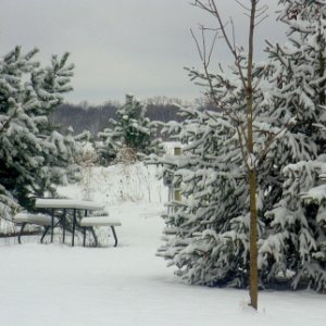 Yay, more snow!