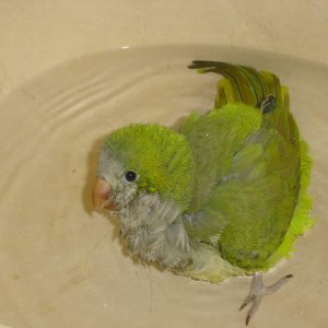 DSC04301