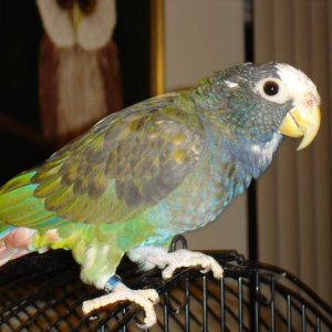 DSC04386