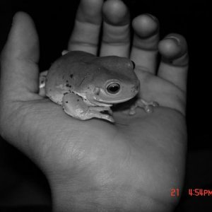 R.I.P Earl
4/12/07-1/24/09