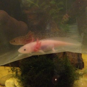 My 2 New Friends!