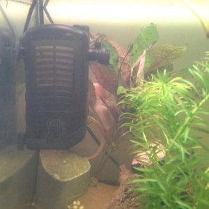 Having a sit down in the plant, like you do  x