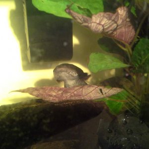 Hello gorgeous girl :)
