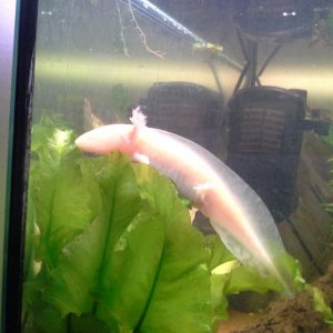 Sitting in the plants and just having a nose :)