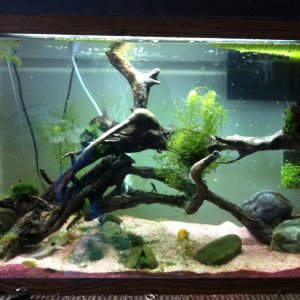 Redesigned tank