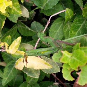 IMG 00000211